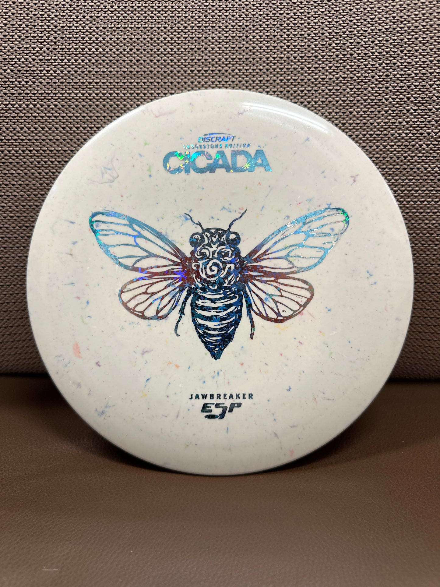Cicada