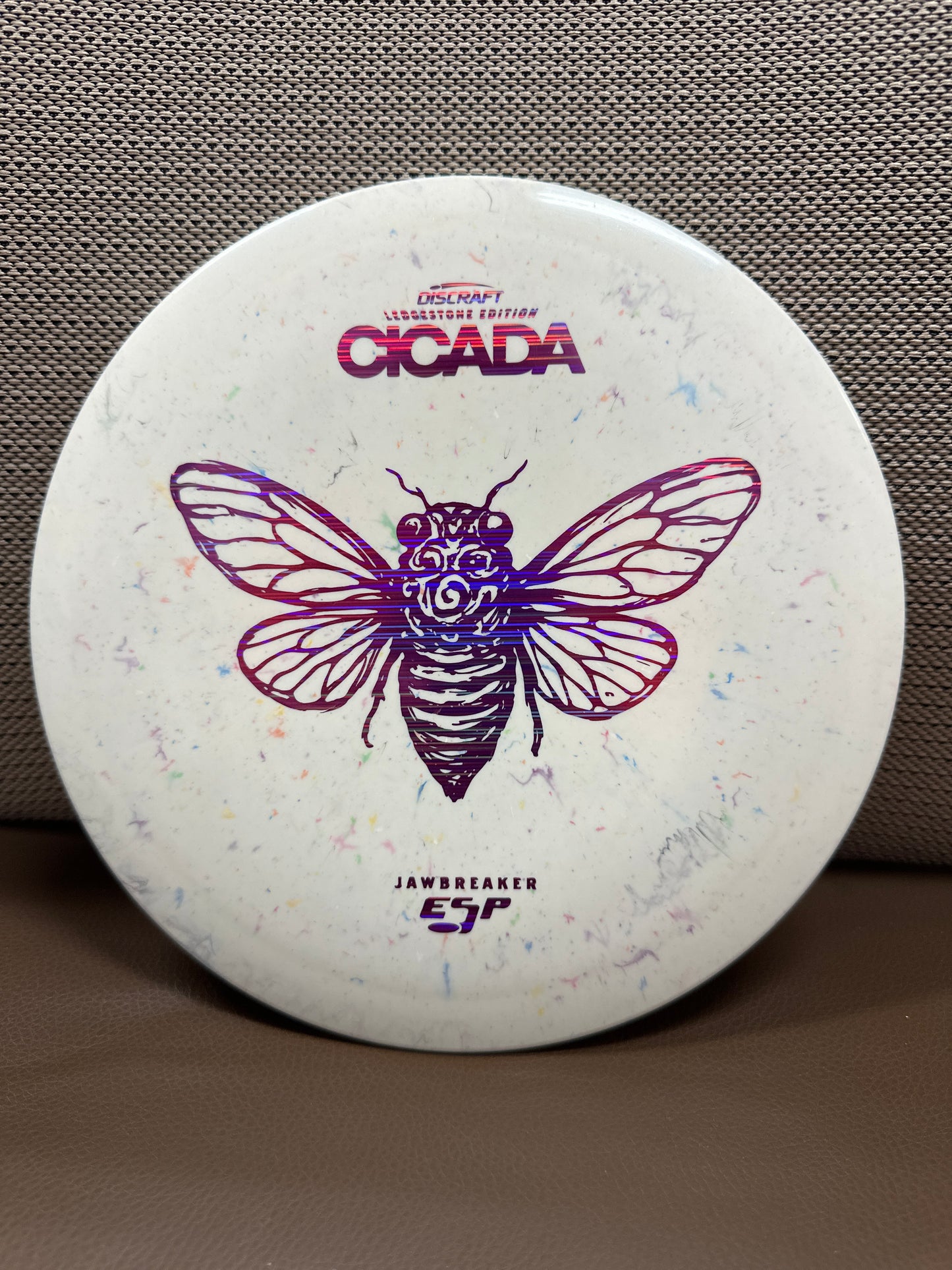 Cicada